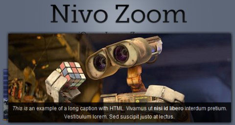 Nivo Zoom