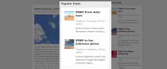 Popular Posts by BestWebSoft screenshot 3