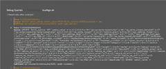 Debug Queries screenshot 1