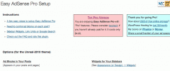 Easy Plugin for AdSense screenshot 1