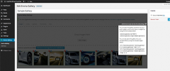 Responsive WordPress Gallery - Envira Gallery Lite screenshot 3