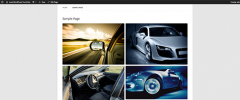 Responsive WordPress Gallery - Envira Gallery Lite screenshot 5