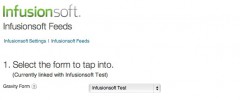 Infusionsoft Gravity Forms Add-on screenshot 3