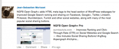 NextGEN Facebook - Advanced Social SEO for Facebook, Google+, Pinterest, Twitter & More screenshot 9