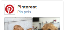 Pinterest Widgets screenshot 4