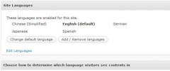 WPML Multilingual CMS screenshot 4