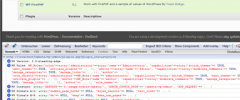 WP-FirePHP screenshot 1
